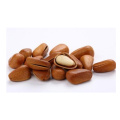 Blanched Pine Nuts. / Cheap Pine Nuts Prices/Chinese Pinenut Kernels